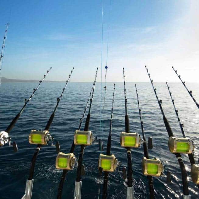 sport fishing in los cabos