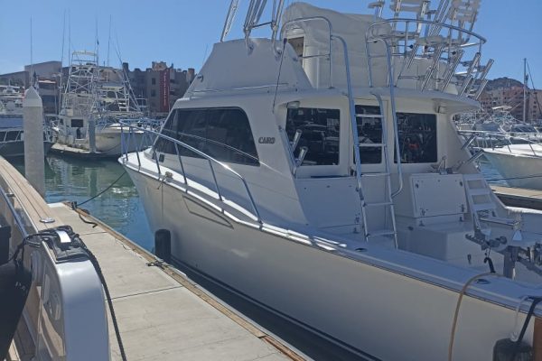 Fishing report Cabo